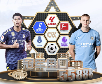 接任伊劳拉，天空体育：罗泽是伯恩茅斯主帅候选人中的领跑者